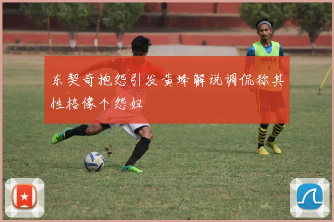 东契奇抱怨引发黄蜂解说调侃称其性格像个怨妇