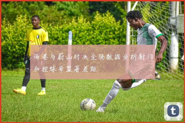 海港与蔚山对决全场数据分析射门和控球率显著差距