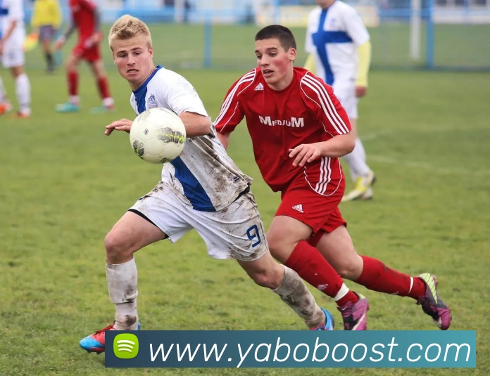 多媒体互动体验